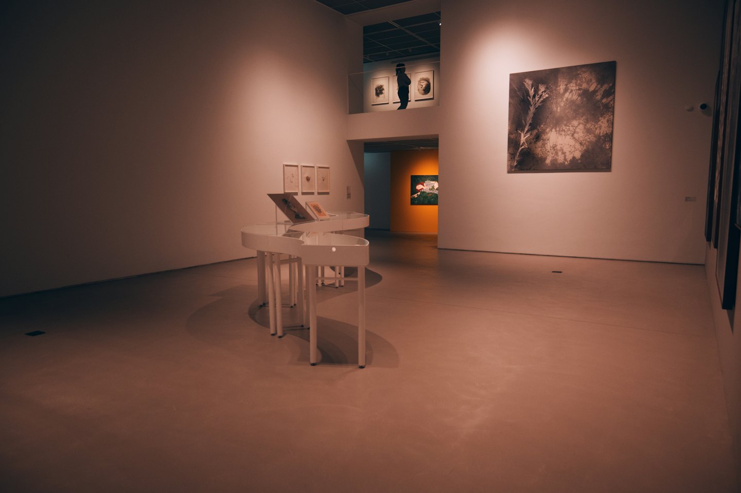 A visitor observes abstract paintings in a modern art gallery.